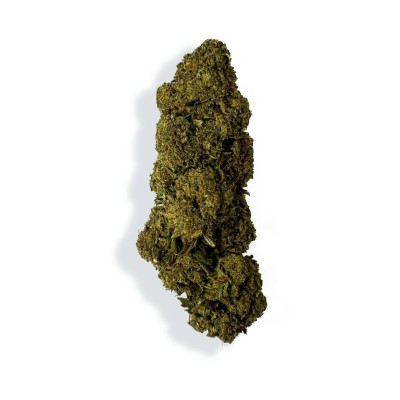 CBD - CHARLOTTE'S WEB
