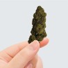 CBD - CHARLOTTE'S WEB