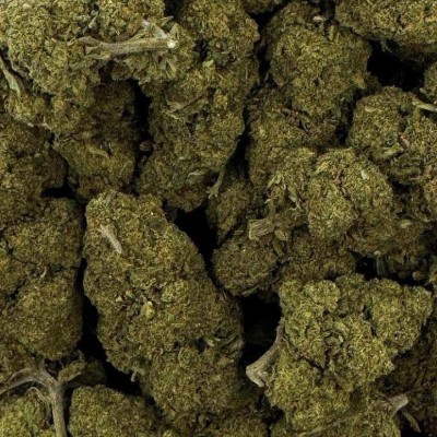 CBD - CHARLOTTE'S WEB