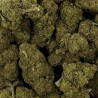 CBD - CHARLOTTE'S WEB