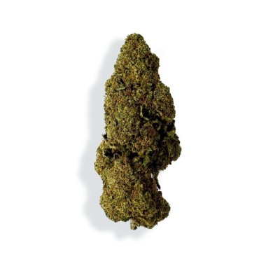 CBD - RASPBERRY HAZE