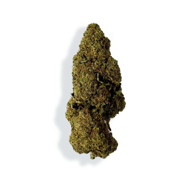 CBD - RASPBERRY HAZE