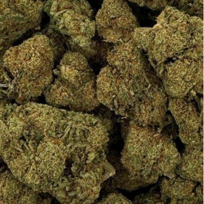 CBD - RASPBERRY HAZE
