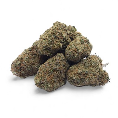 CBD Gelato Glue Indoor Premium