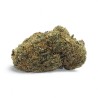 CBD Gelato Glue Indoor Premium