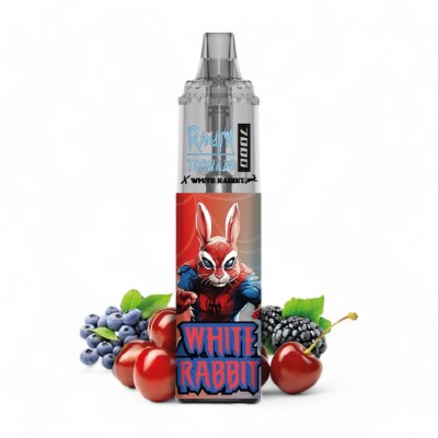 White Rabbit x RandM...