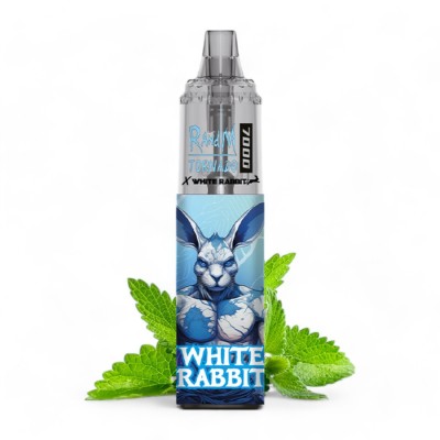 White Rabbit x RandM...