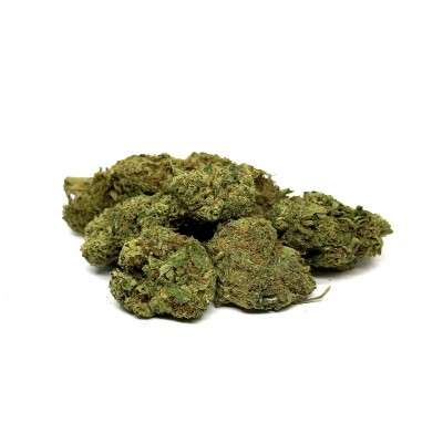 CBD LIFTER Premium Greenhouse