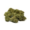 CBD LIFTER Premium Greenhouse