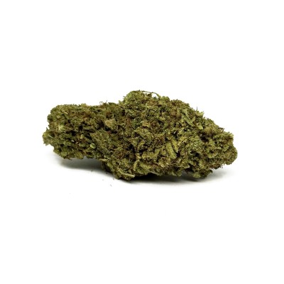 CBD LIFTER Premium Greenhouse