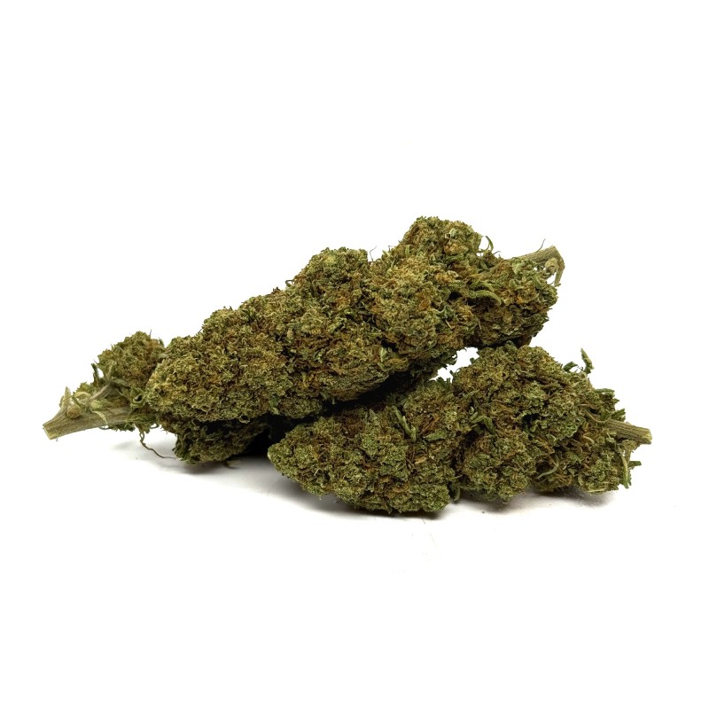 CBD Orange Bud