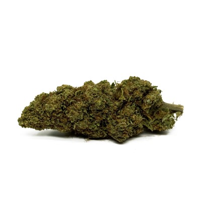 CBD Orange Bud