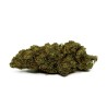 CBD Orange Bud