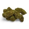 CBD Amnesia 2.0