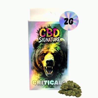CBD Critical+ 2G - CBD...