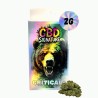 CBD Critical+ 2G - CBD Signature