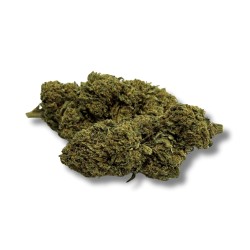 CBD Gorilla Greenhouse