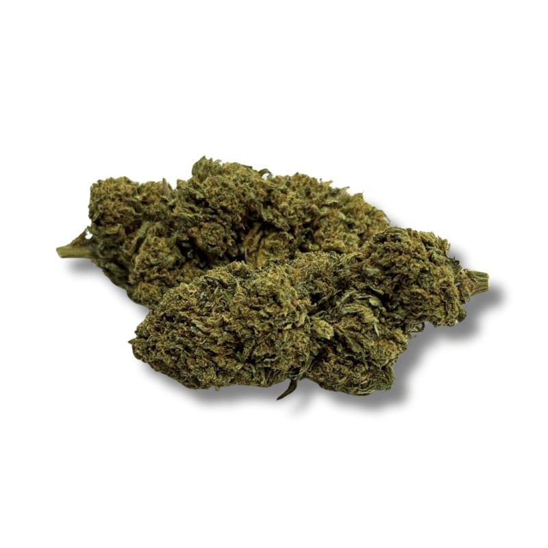 CBD Gorilla Greenhouse