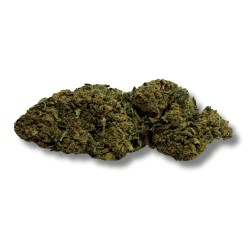 CBD Gorilla Greenhouse