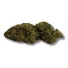 CBD Gorilla Greenhouse