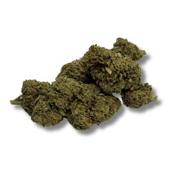 CBD Gorilla Greenhouse