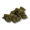 CBD Gorilla Greenhouse