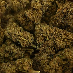 CBD Tonic Kush