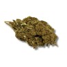 CBD - LEMON HAZE