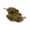 CBD - LEMON HAZE