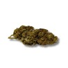 CBD - LEMON HAZE