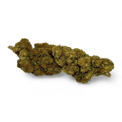 CBD Strawberry Haze Greenhouse