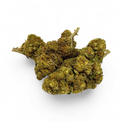 CBD Strawberry Haze Greenhouse