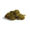 CBD Strawberry Haze Greenhouse