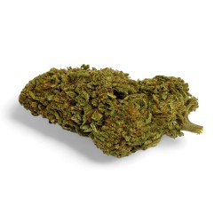 CBD Green Crack Indoor Edition Limitée
