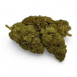 CBD Green Crack Indoor Edition Limitée
