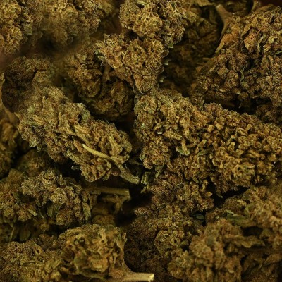 CBD Tonic Kush