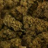 CBD Tonic Kush