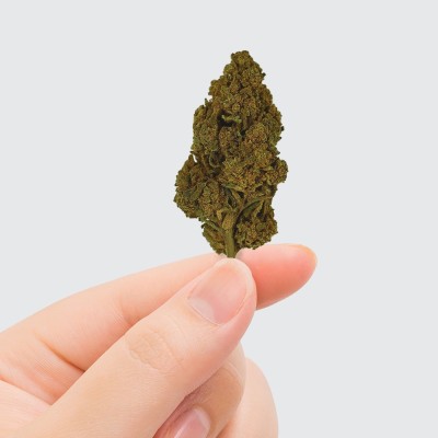 CBD Tonic Kush