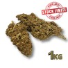 Déstockage Fleur de CBD Tonic Kush Outdoor 1KG - Quantité Limitée
