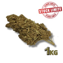 Déstockage Fleur de CBD Tonic Kush Outdoor 1KG - Quantité Limitée
