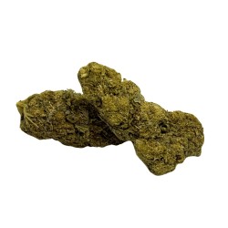 Fleur de CBD Cryo Glasshouse 1KG Premium