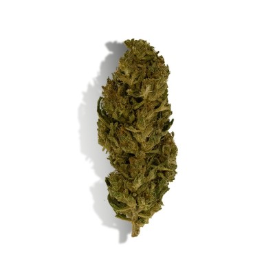 CBD - LEMON HAZE