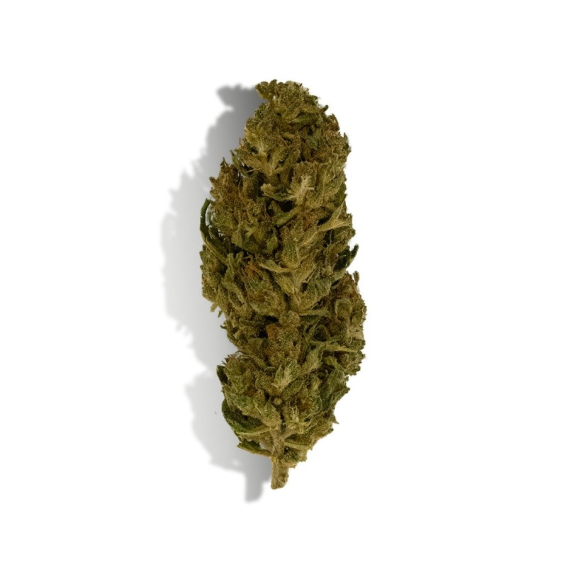 CBD - LEMON HAZE