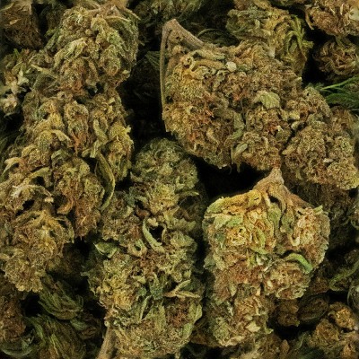 CBD - LEMON HAZE