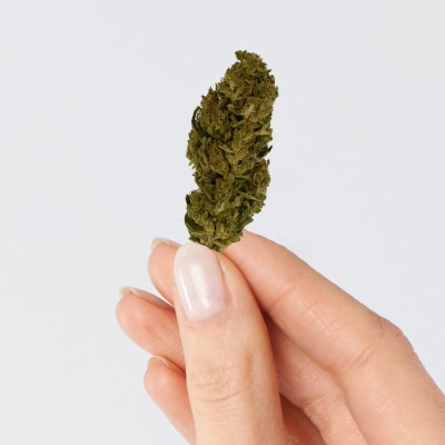 CBD - LEMON HAZE