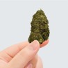 CBD - PINK LADY KUSH