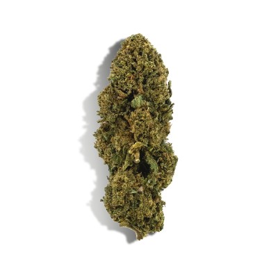 CBD - WHITE DAWG