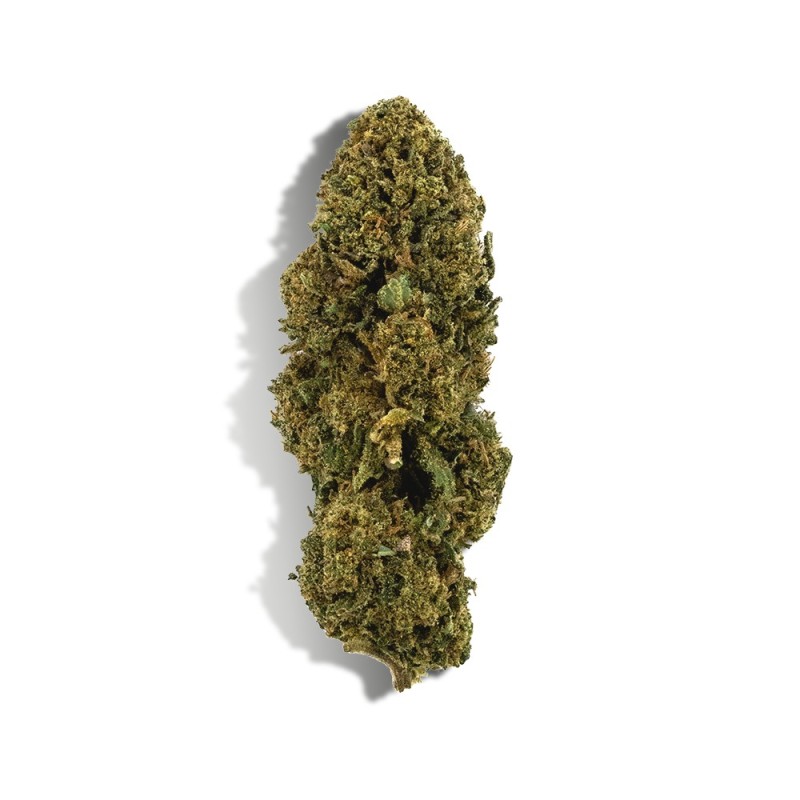 CBD - WHITE DAWG