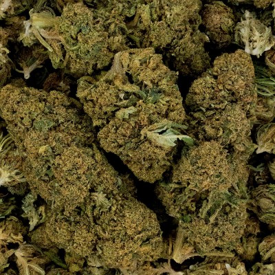 CBD - WHITE DAWG