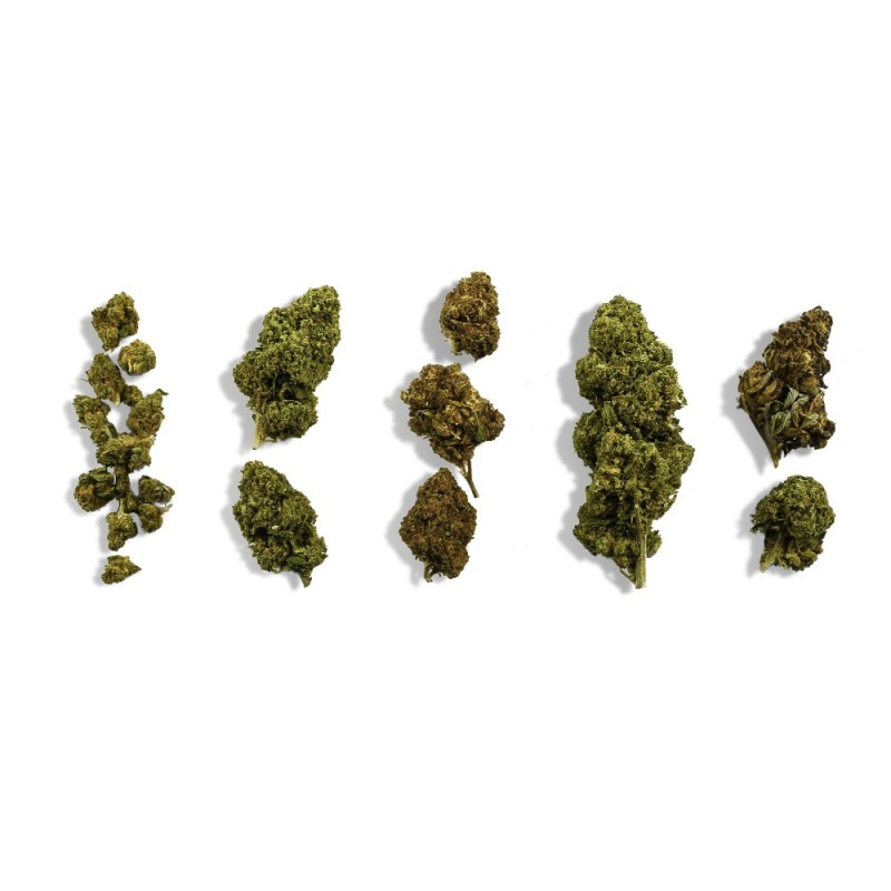Coffret découverte débutant fleurs CBD